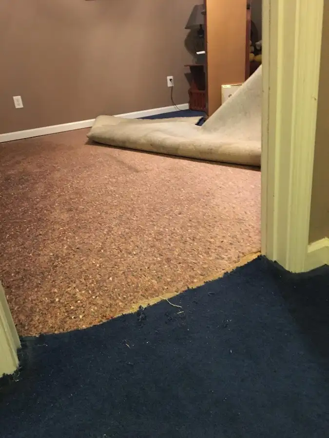 Carpet pad removal revealing water damage during Drying & Dehumidification in Providence
