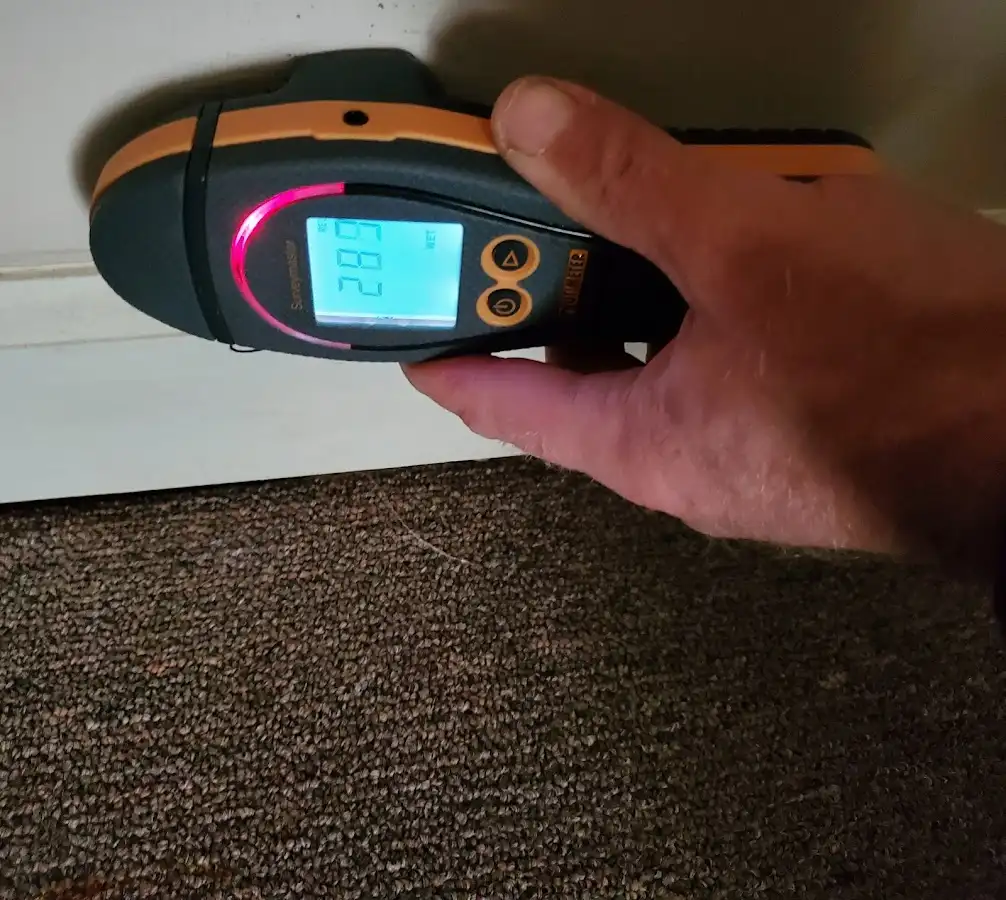 Moisture detection at baseboard during Sewage Cleanup & Sanitation in Providence